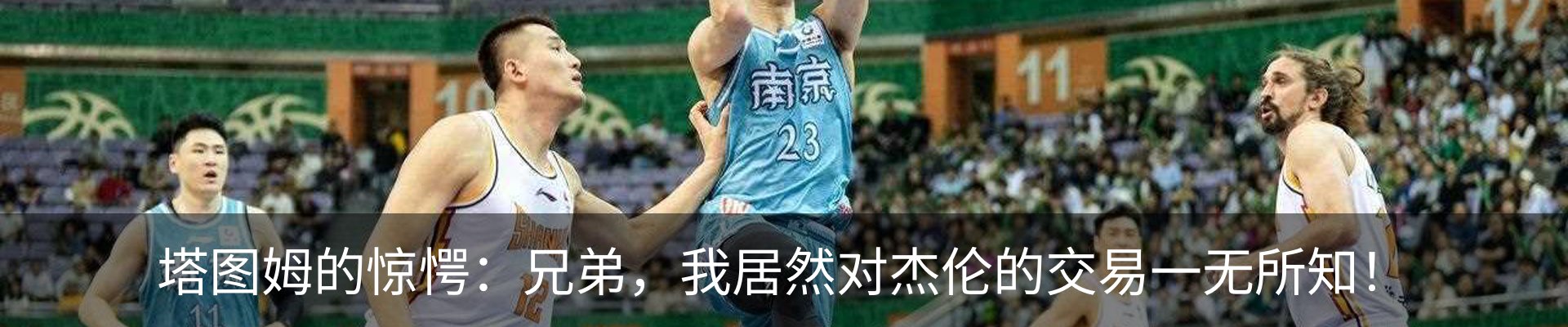 资讯动态
